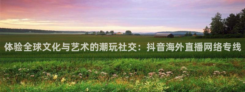 玩球直播观看：体验全球文化与艺术的潮玩社交：抖音海外直播网络专线