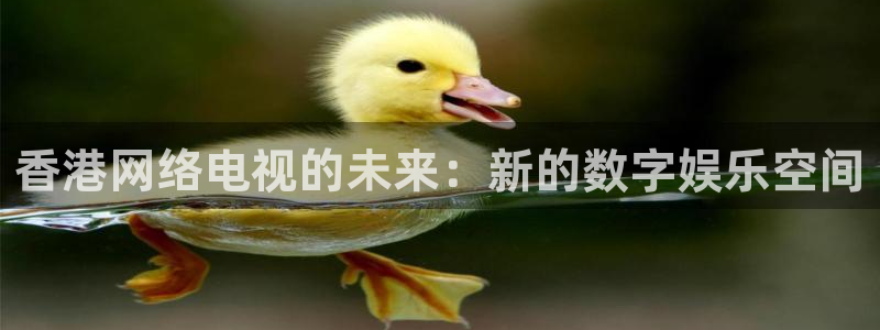 玩球直播app官方版下载：香港网络电视的未来：新的数字娱乐空间