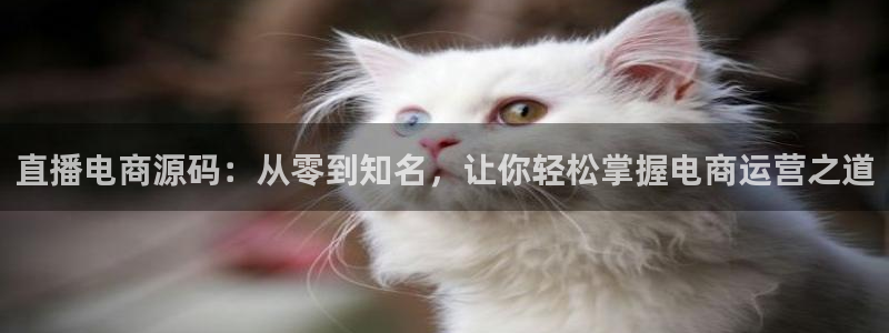 玩球视频：直播电商源码：从零到知名，让你轻松掌握电商运营之道