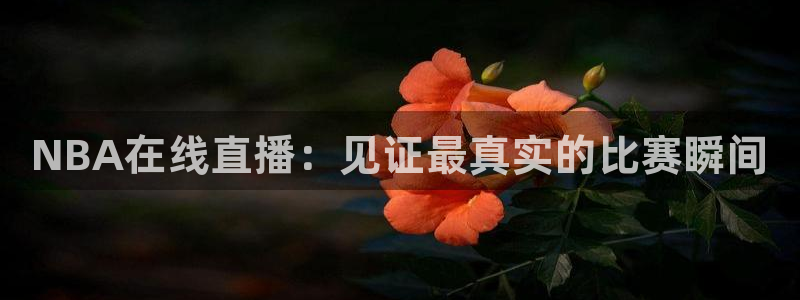 玩球直播免费直播：NBA在线直播：见证最真实的比赛瞬间