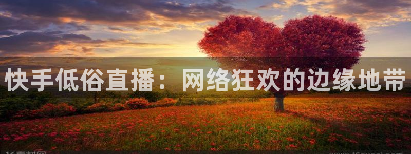 玩球直播app苹果：快手低俗直播：网络狂欢的边缘地带