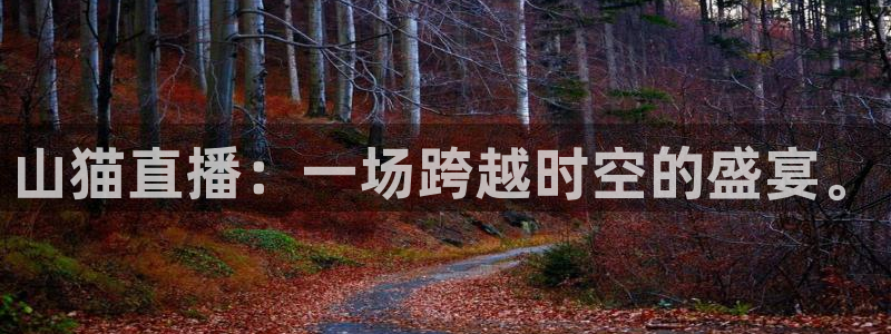 玩球直播吧：山猫直播：一场跨越时空的盛宴。