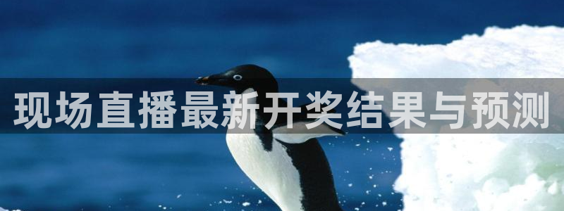 玩球直播app官方版下载：现场直播最新开奖结果与预测