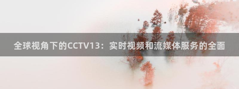 宝宝玩球视频：全球视角下的CCTV13：实时视频和流媒体服务的全面