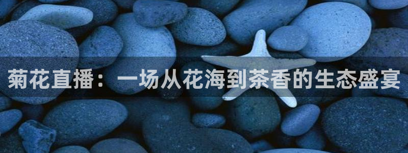 玩球直播官网下载：菊花直播：一场从花海到茶香的生态盛宴