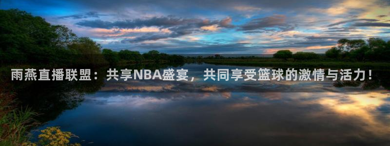 玩球直播wqzb：雨燕直播联盟：共享NBA盛宴，共同享受篮球的激情与活力！