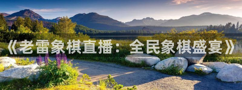 玩球体育直播app：《老雷象棋直播：全民象棋盛宴》